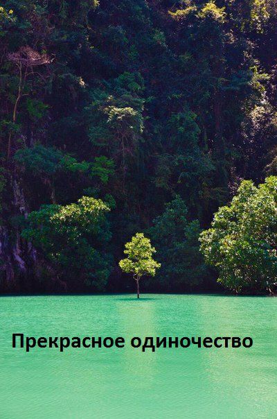 Прекрасное одиночество