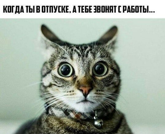 КШМ ТЫ В ШПУШЕ А ТЕБЕ ЗВПНПТ РАБШЫ