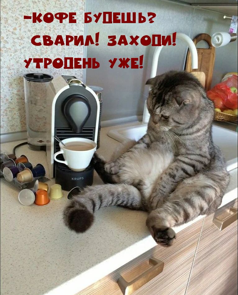 точ БУДЕШЬ свдгиь здхопи утроить ЖЕ