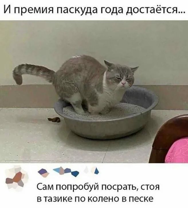 И премия паскуда года достаётся Сам попробуй посрать стоя в тазике по колено в песке