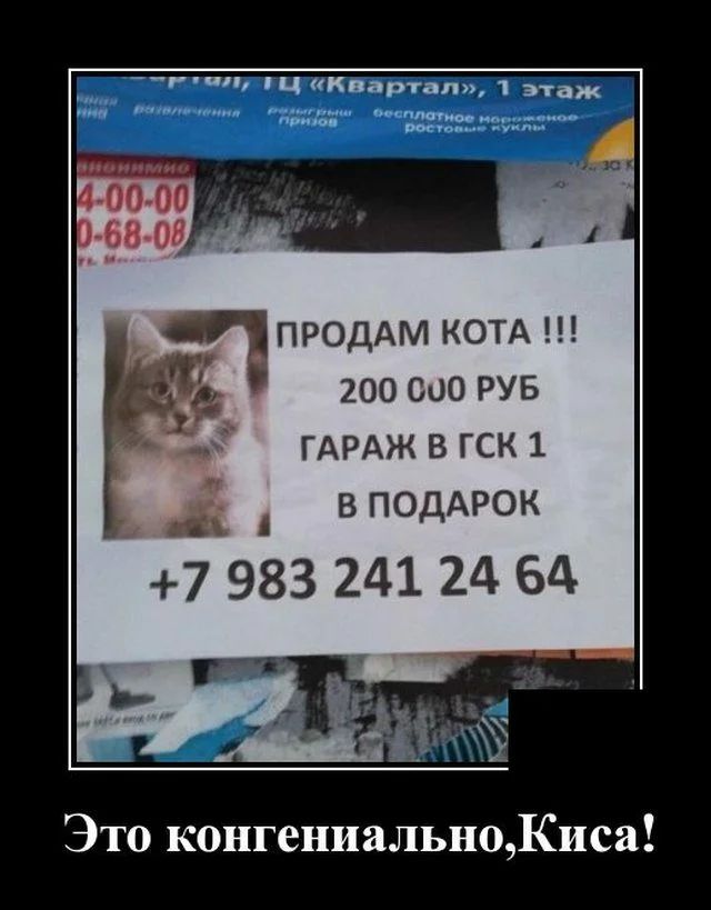 т гц Квартал 1 этаж _д нп или _ ш Щ ПРОДАМ КОТА _ 200 соо РУБ ГАРАЖ В ГСК 1 В ПОДАРОК 7 983 241 24 БЦ Это конгениальн0Киса