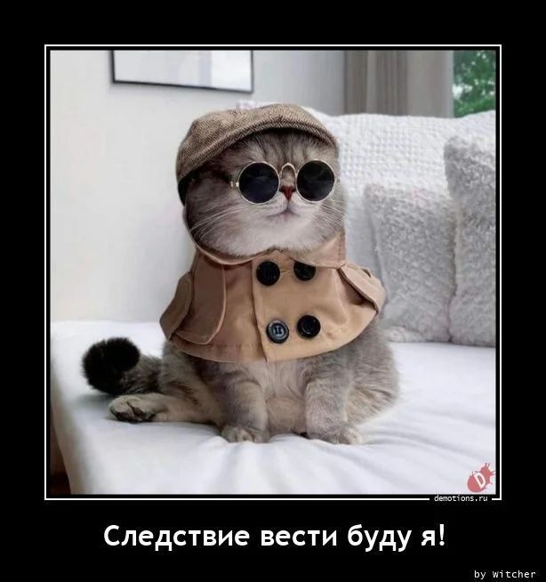 Следствие вести буду я