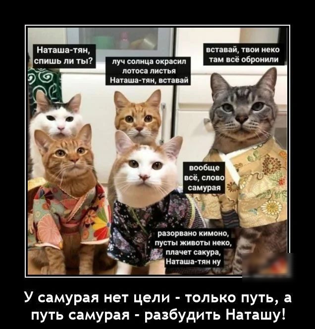 Наташа тии спишь ли ты впн й ти нет там всё оброиили пуч сппиц аира питон листья Н пшптпщ Й пул ты жи вгыпвко плачет сакура Нюша тии у _к У самурая нет цели только путь а путь самурая разбудить Наташу