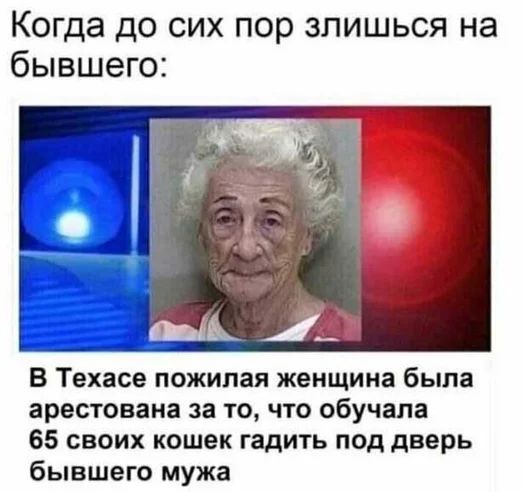 Когда до сих пор злишься на бывшего В Техасе пожилая женщина была арестована за то что обучала 65 своих кошек гадить под дверь бывшего мужа