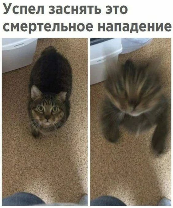 Успел заснять это СМЭРТеЛЬНОЭ НЗПЗДЭНИ