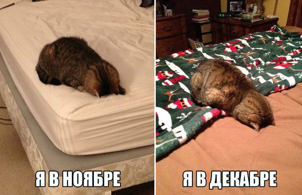 В дЕндБРЕ
