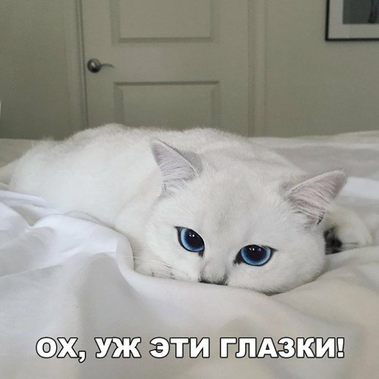 Жэ ЁЁ