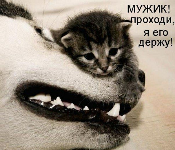 я его держу МУЖИК рохсди