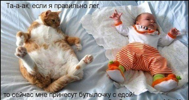Та аак если я правильно лег