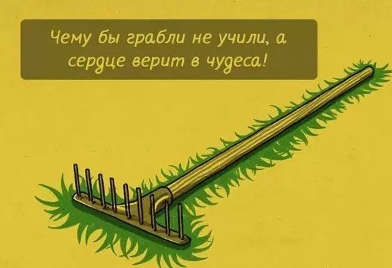 Чему бы грабли не учили _ сердце верит в чудеса __