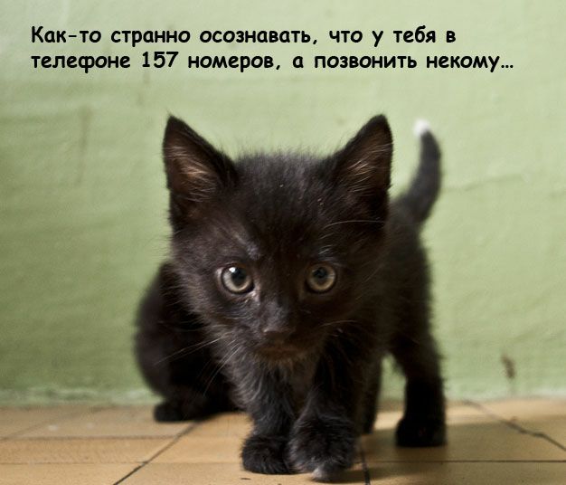 Както странно осознавать что у тебя в телефоне 157 номеров позвонить некому