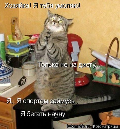 ший Я тебя умшпяю