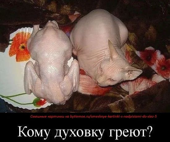 Кому духовку греют