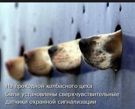 овпеиы снерхчувсгвитепьные датчики охранной сигнализации