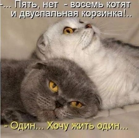 Г ггь нэт наземь кг и да спшпьыал картинки Ю