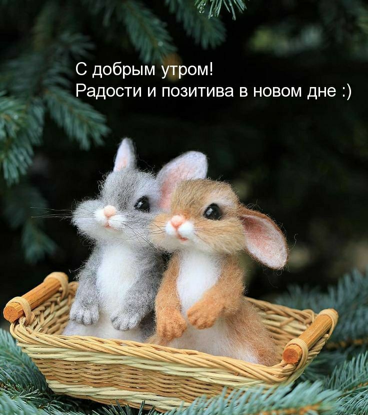 ч С добрым утром Радости и позитива в новом дне ч _