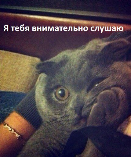 Ф