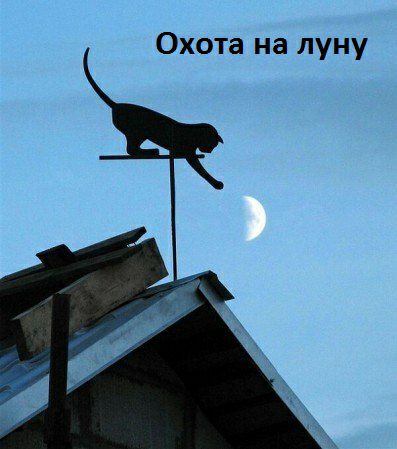 Охота на луну