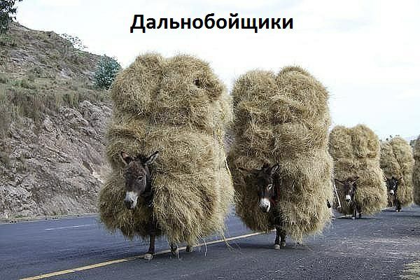 дальнобойщики