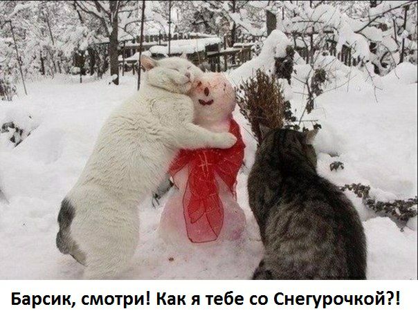 Барсик смотри Как я тебе со Снегурочкой