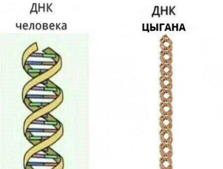 дНК ДНК человека ЦЫГАНА