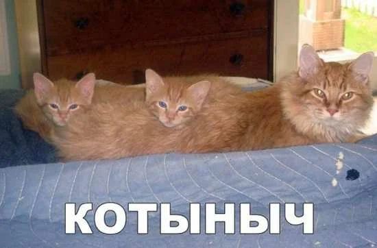 ЩЫЁЁЪШ 33 3