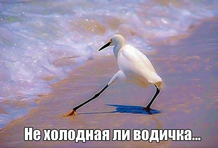 г и холодная пидодинчна гу