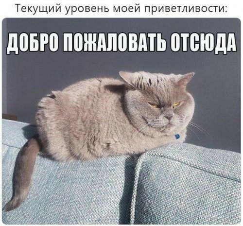 Текущий уровень моей приветливости дПБЮ ППЖАМВАТЬ ШВЮДА