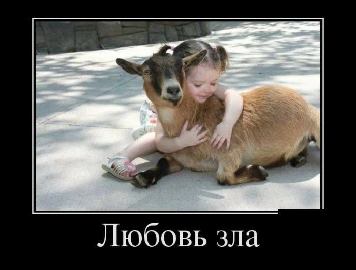 Любовь зла