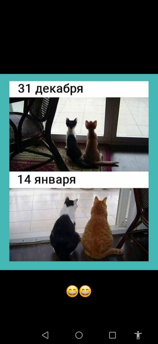 31 декабря