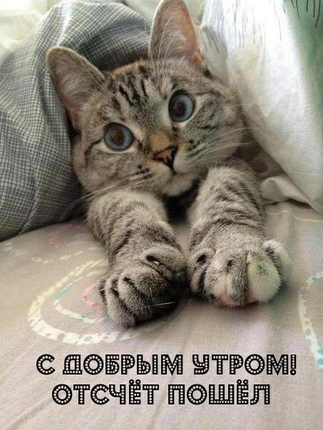 ЁЁЫЁЁ Ёёё ЁЁЧЁТ ШЁЛ
