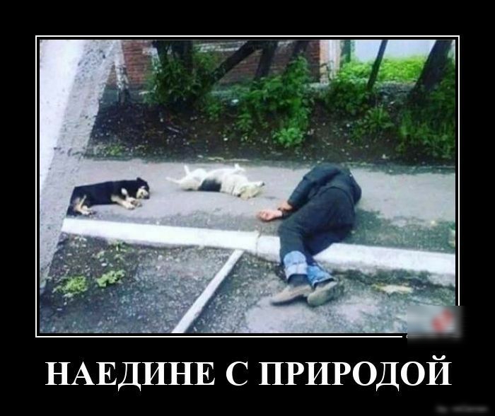 ЩЕДИНЕ с ПРИРОДОЙ