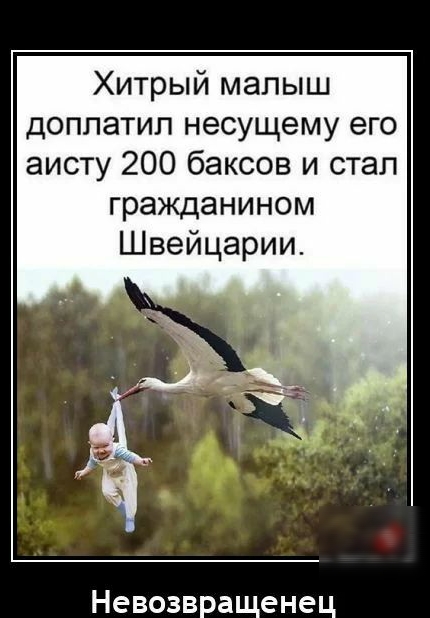 Хитрый малыш доппатип несущему его аисту 200 баксов и стал гражданином Швейцарии Невозвращенец