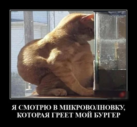 Я СМОТРЮ В МИКРОЧОЛНОВКУ КОТОРАЯ ГРЕЕТ МОИ БУРГЕР