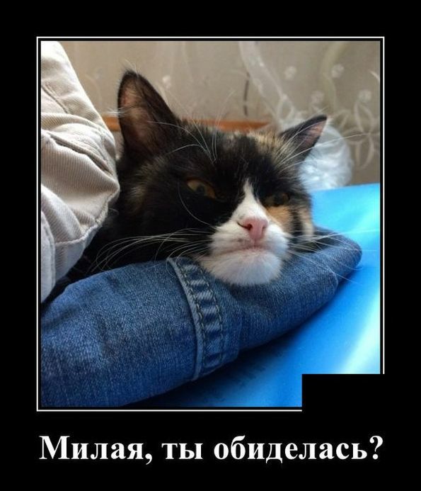 Милая ты обиделась