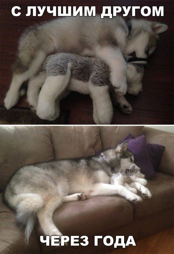 с ЛУЧШИМ дРУгом ЧЕРЕЗ ГОДА