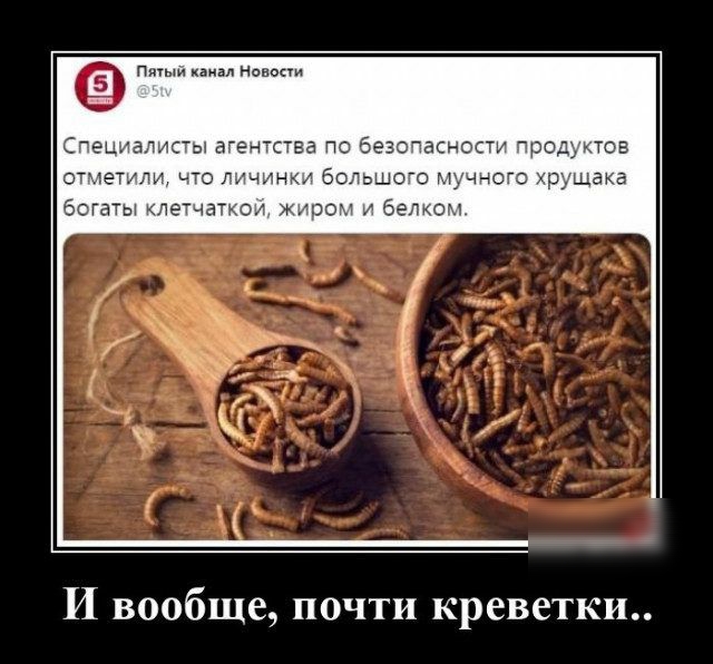 п ним Навои Специалист агентства по безопасности ПрОДЬКТОБ отчетльм что личинкл большого мучного р ака богаты клетчаткои жиром и белком И вообще почти креветки