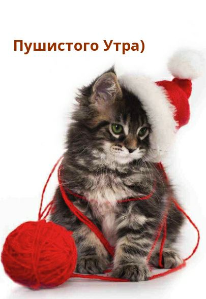 Пушистого Утра