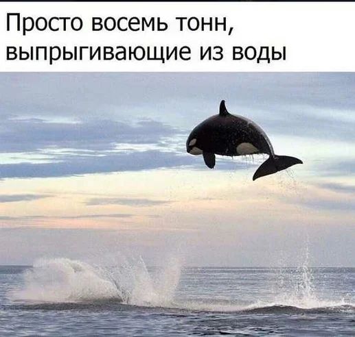 ПРОСТО ВОСЕМЬ ТОНН выпрыгивающие ИЗ ВОДЫ