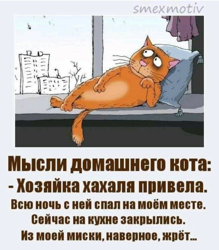 _ А і МЪЮЛИ домашнего нота Хозяйка хахапя ппивепа Всю ночь с ней спал на ммм месте свйчас на пухи закрылись Из моей мисиимавопное жрёт