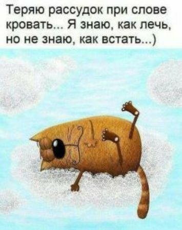 Теряю рассудок при слове кровать Я знаю как печь но не знаю как встать