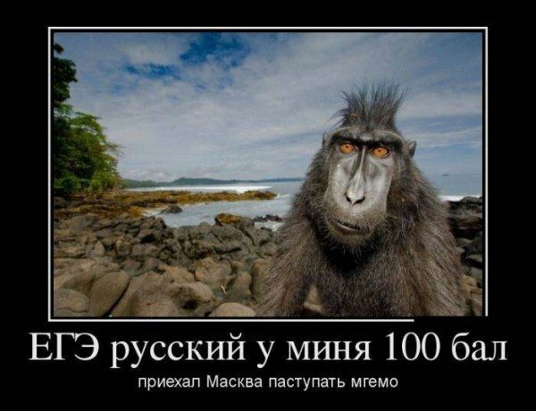 _ __ ЕГЭ руьскйй миня 100 бал приехал Масква паступать мгемо