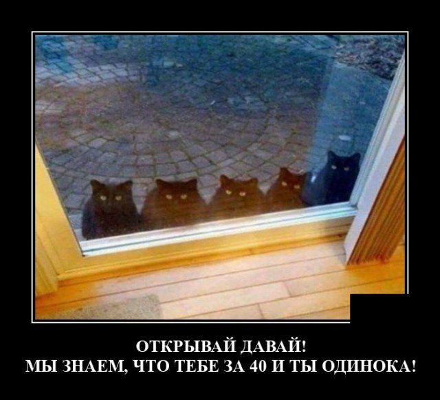 ОТКРЫВАЙ ДАВАЙ МЫ ЗНАЕМ что ТЕБЕ ЗА 40 И ты ОДИНОКА