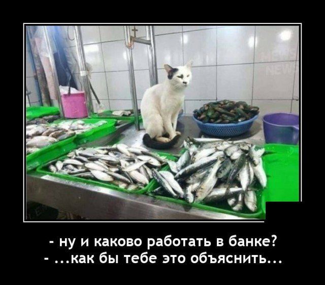 ну и каково работать в банке как бы тебе это объяснить