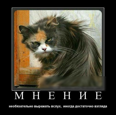 М Н Е Н И Е необязательно выражать вслух иногда доппочио взгляда