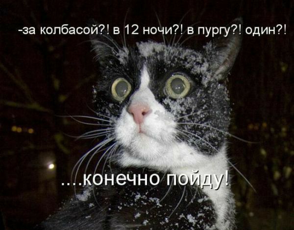 за колбасой в 12 ночи в пургу один конечно ЁЧ а __