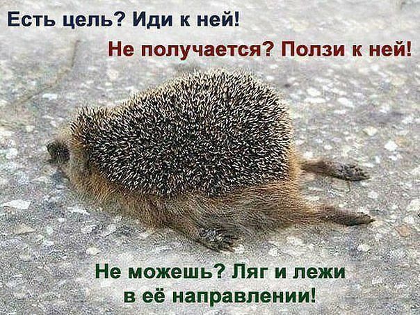 Есть цепь Иди к ней Не получается Ползи к ней Не можешь Ляг и лежи в её направлении