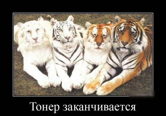 Тонер заканчивается