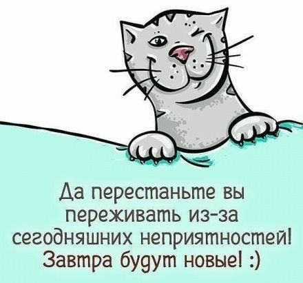 Аа перестаньте вы переживать из за сегодняшних неприятностей Завтра будут новые