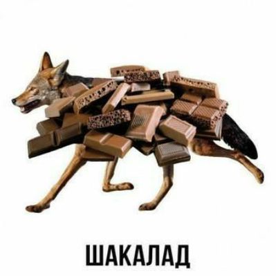 ШАКАЛАЛ